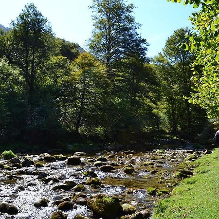 Gites Communaux A Lourdios Экстерьер фото