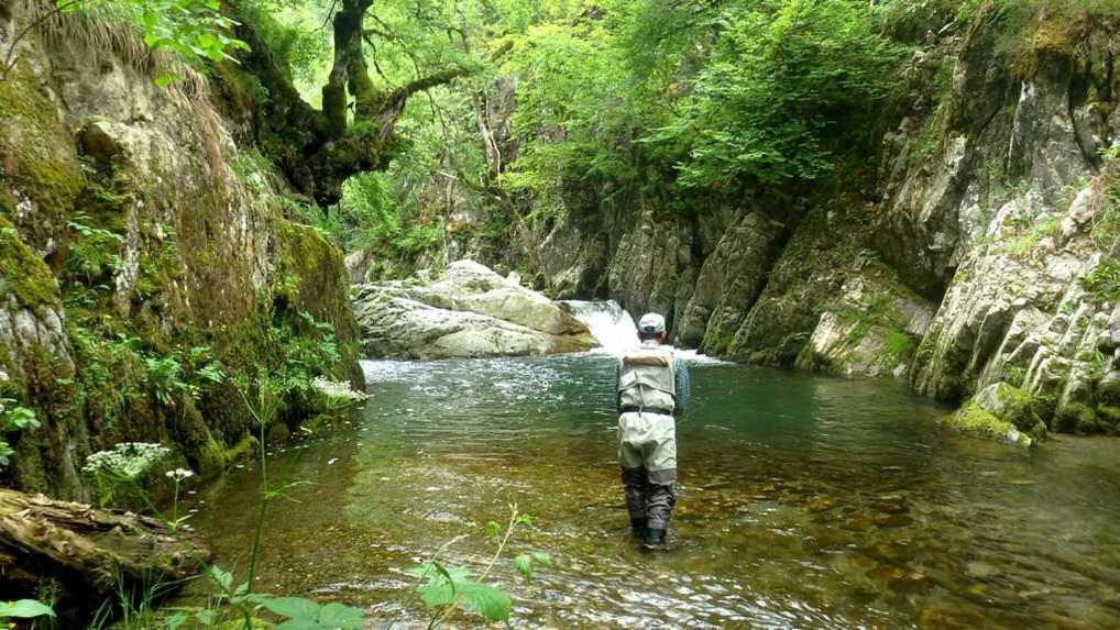 Gites Communaux A Lourdios Экстерьер фото