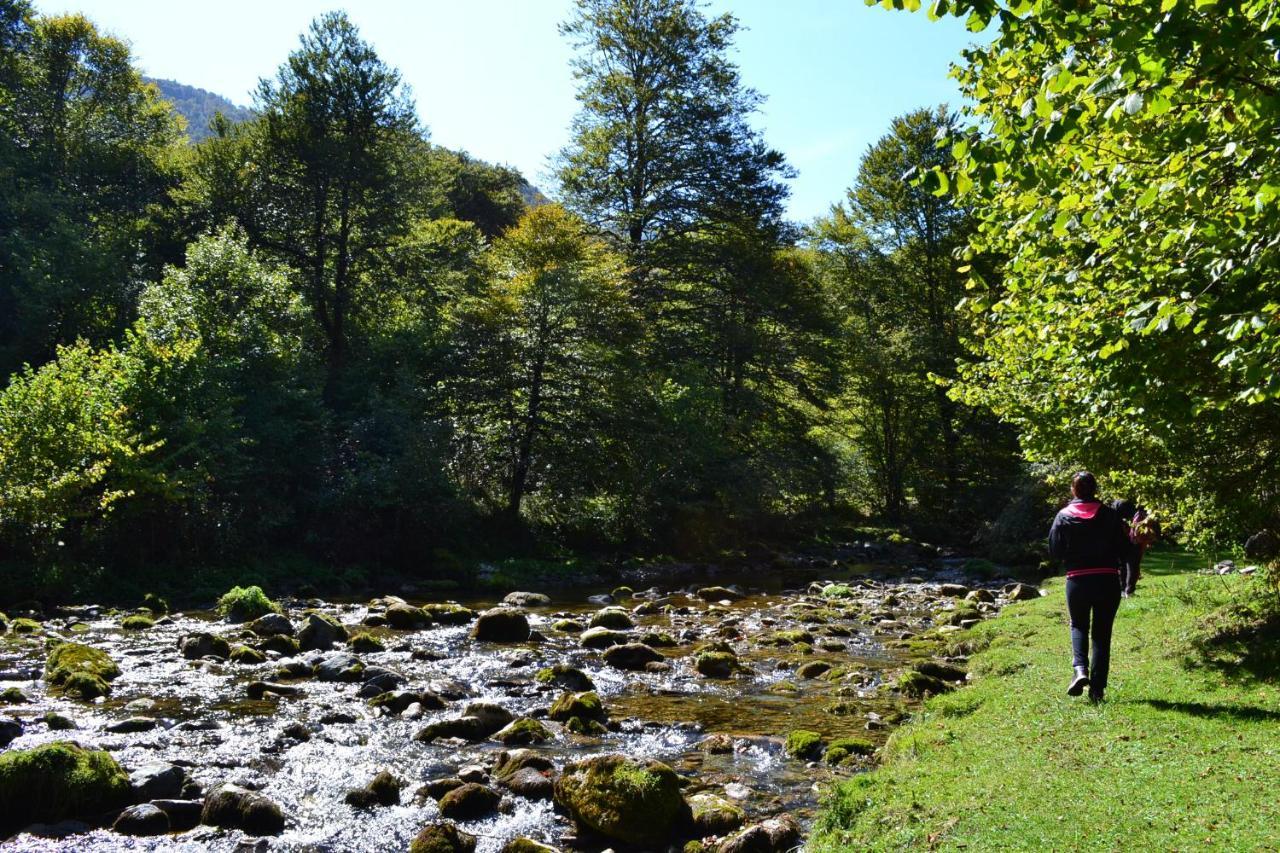 Gites Communaux A Lourdios Экстерьер фото